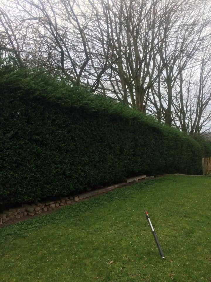  Northwich Tree Surgery Hedge Cutting