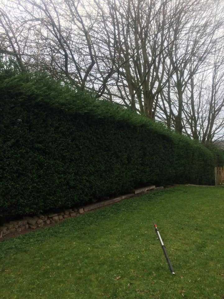  Northwich Tree Surgery Hedge Cutting