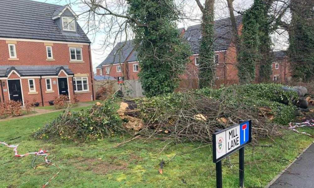 Northwich Tree Surgery