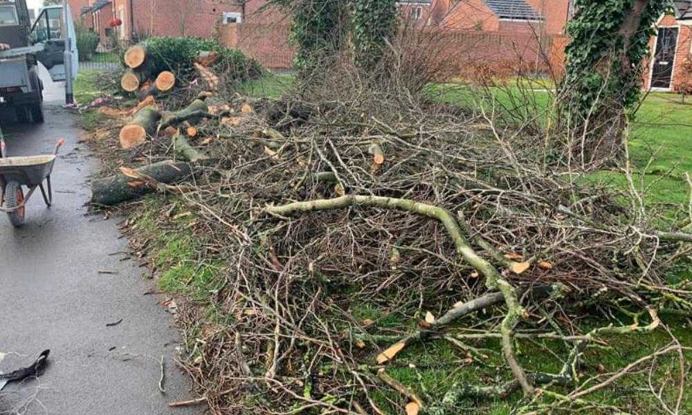  Northwich Tree Surgery Tree Pruning