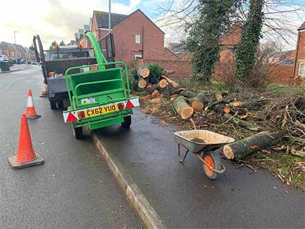 Professional Tree- Surgeon Northwich Tree Surgeon