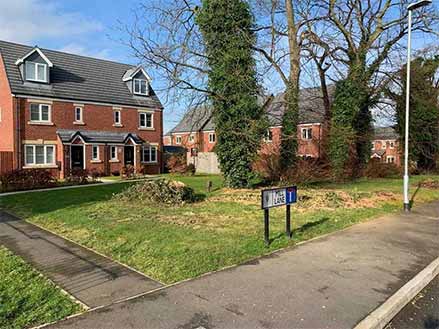 Tree Surgeon Northwich Professional Tree Surgeon Northwich